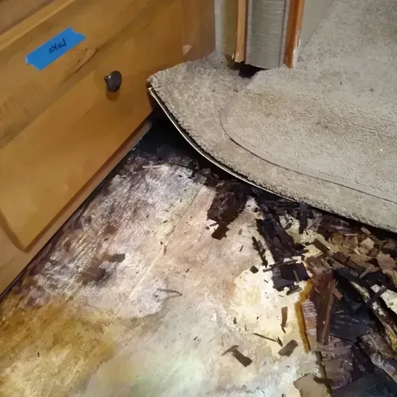 Wood Floor Water Damage in Jasper, AR